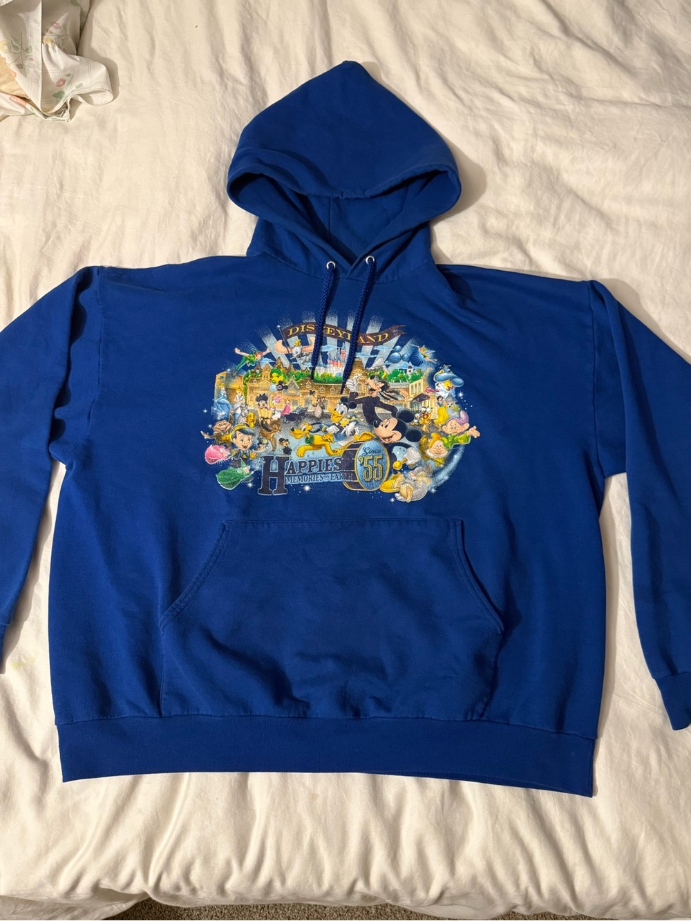 Disneyland Royal Blue Hoodie with Colorful Park Character Graphic